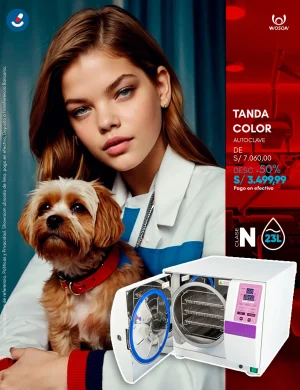 WOSON Autoclave TANDA COLOR 23L Esterilizador Clase N